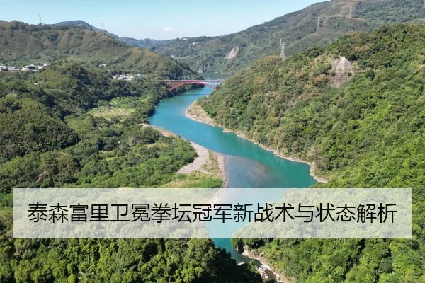 泰森富里卫冕拳坛冠军新战术与状态解析（jiuyou）